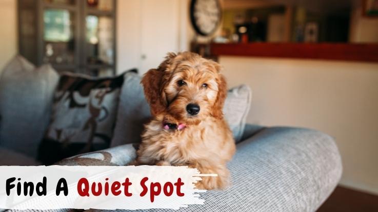 Find A Quiet Spot